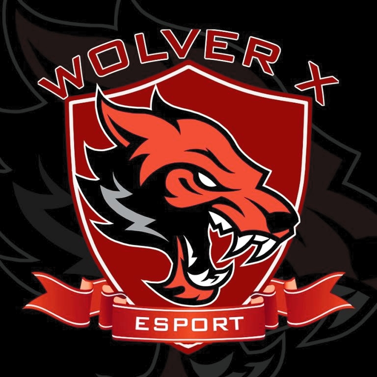 DnWolverX